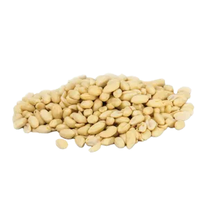 BLANCHED GROUNDNUT KERNELS