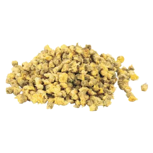 DRIED CHRYSANTHEMUM