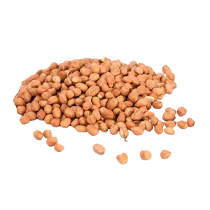 INDIAN BEAN