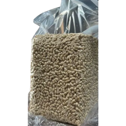BLANCHED PEANUT KERNELS(KERNELS29/33)脱皮花生（豆贝贝-红字）
