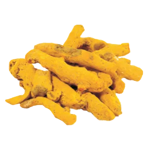TURMERIC