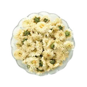 WHITE CHRYSANTHEMUM